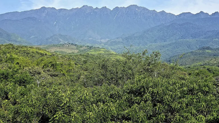 minería de oro ilegal en Colombia 