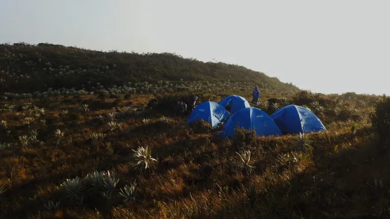 Miraflores, el páramo con algunas de las más variadas riquezas naturales del Huila