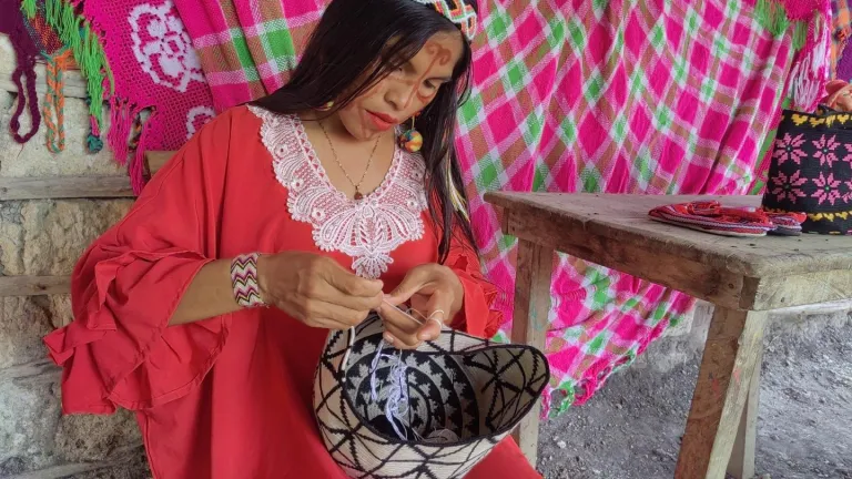 Mujeres wayuu