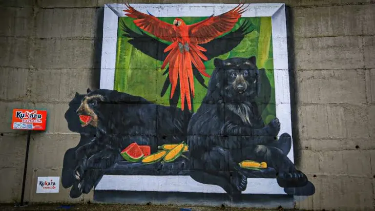 Los murales que plasman la belleza de la fauna llanera en el Bioparque Los Ocarros