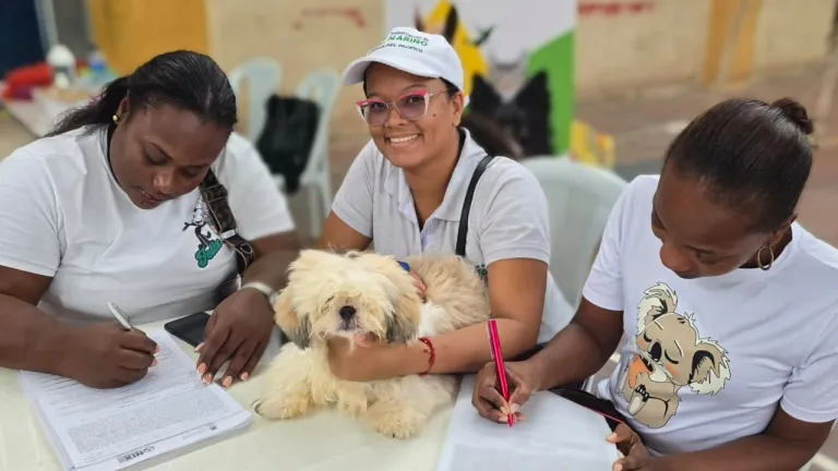 Nariño pondrá en marcha ruta integral para atender el maltrato animal y reducir la impunidad