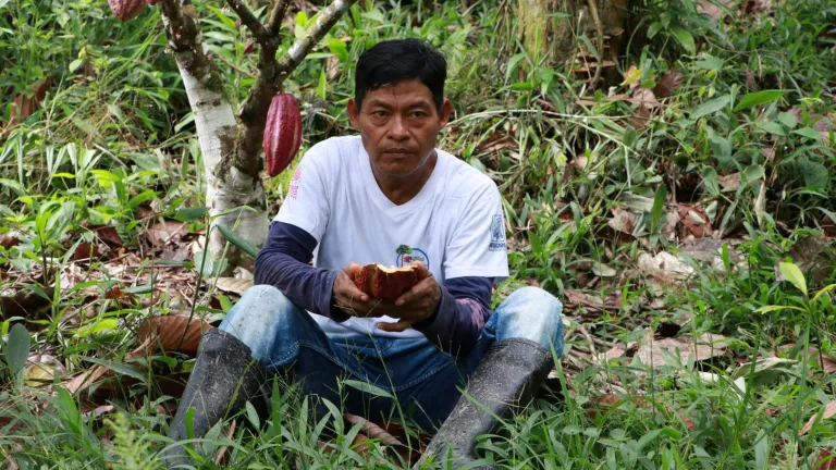 Surgir como la ceiba: preservación y saberes del Amazonas