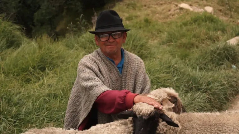 Los esquiladores de ovejas de Sutatausa, Cundinamarca