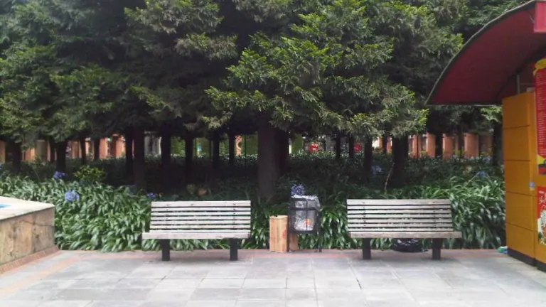 Naturaleza en Bogotá: ciudad con árboles que cuentan historias