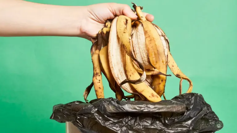 Harina de plátano, buenas noticias para celiacos