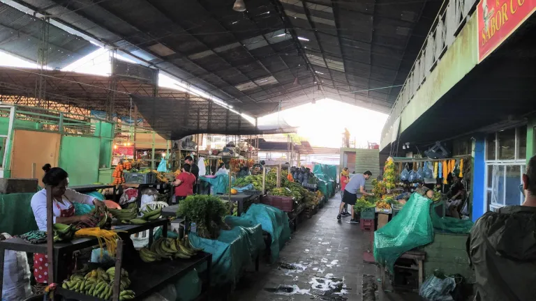 Tour de las octavas Plaza de Mercado Leticia