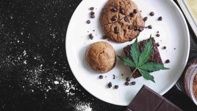 Requisitos alimentos a base de cannabis en Colombia | Invima