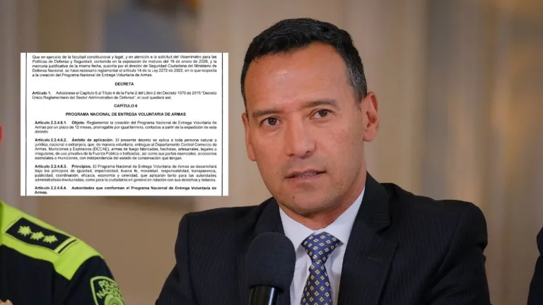  Programa desarmar a la población civil 