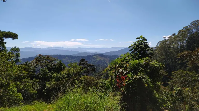Ocaña tiene su propio pulmón ambiental