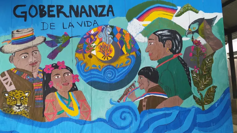 Iniciativa indígena en el sur del Meta: Preservando tradiciones y lenguas nativas