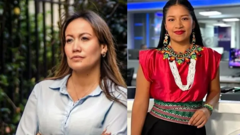 Sandra Chindoy y Carolina Corcho tutela contra el CNE