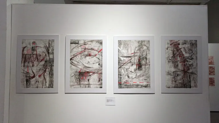 Exposición “Sororidad” reúne a mujeres artistas del sur de Colombia
