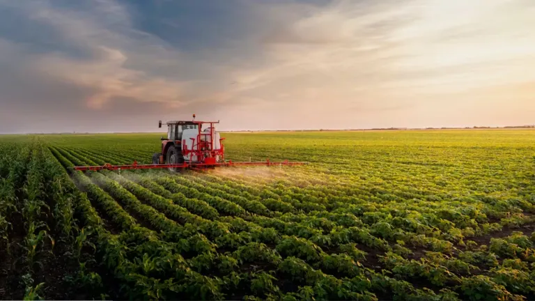 El desafío de satisfacer la demanda mundial de alimentos de manera sostenible