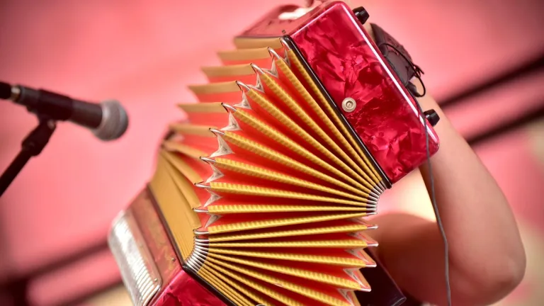 Festival vallenato: Así es el proceso para escoger al rey