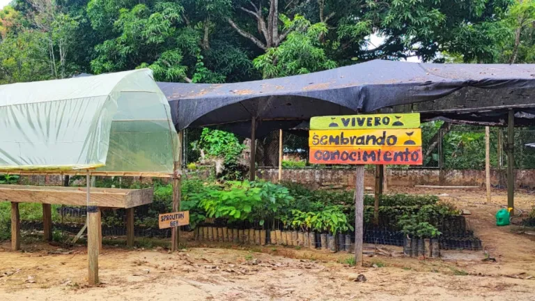 “Sembrando conocimientos”, el programa que busca proteger el Parque Nacional Natural Tinigua
