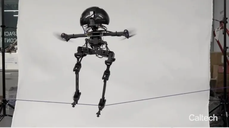 Leonardo, el robot bípedo