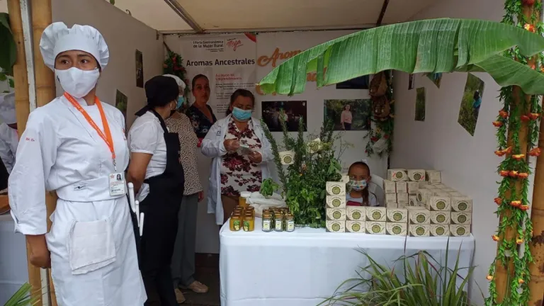 No a la minería en Cajamarca, Tolima: la apuesta por las hierbas aromáticas