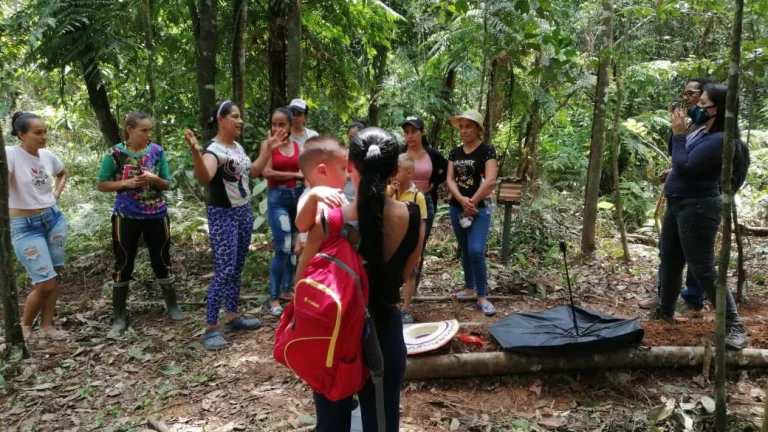Excombatientes en Putumayo | abejas, paz, medio ambiente