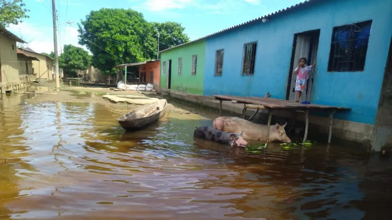 Lluvias en La Mojana sucreña | Más de 30 mil personas damnificadas deja la ola invernal 