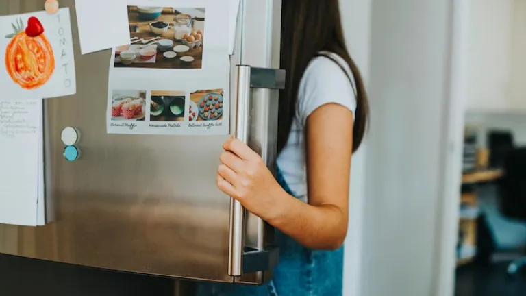 Adolescentes vegetarianos: ¿cómo manejar su transición desde el hogar de forma equilibrada