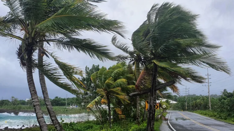Tormenta tropical julia | Estas son las líneas de emergencia