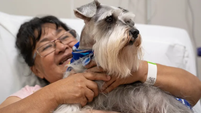 ¿Mi mascota puede ingresar al hospital? Terapia para recuperación