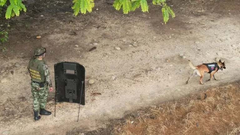 Ejército Nacional destruye artefactos explosivos en vía de Cúcuta a Puerto Santander
