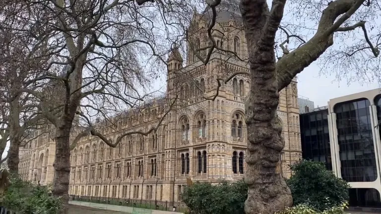 Las curiosidades del Museo de Historia Natural de Londres