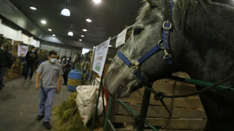 Agroexpo Bogotá 2023: fechas, eventos y lugar