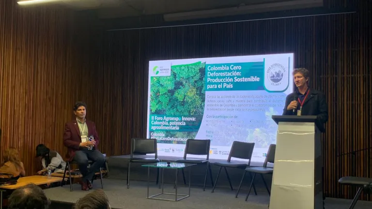 Acuerdos Cero Deforestación: qué es, Plan de Desarrollo Sostenible 