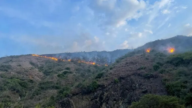 Incendio forestal en Roldanillo: hectáreas afectadas