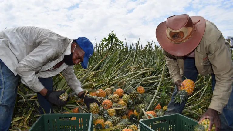 Día Internacional de Concienciación sobre la Pérdida y el Desperdicio de Alimentos