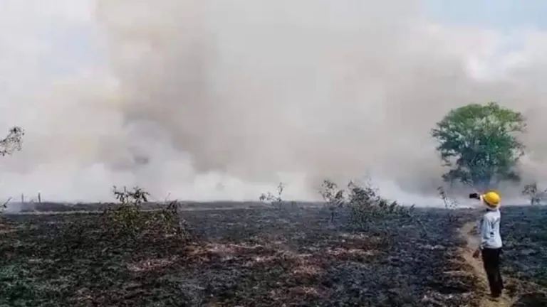 Incendio forestal en Zapayán, Magdalena 
