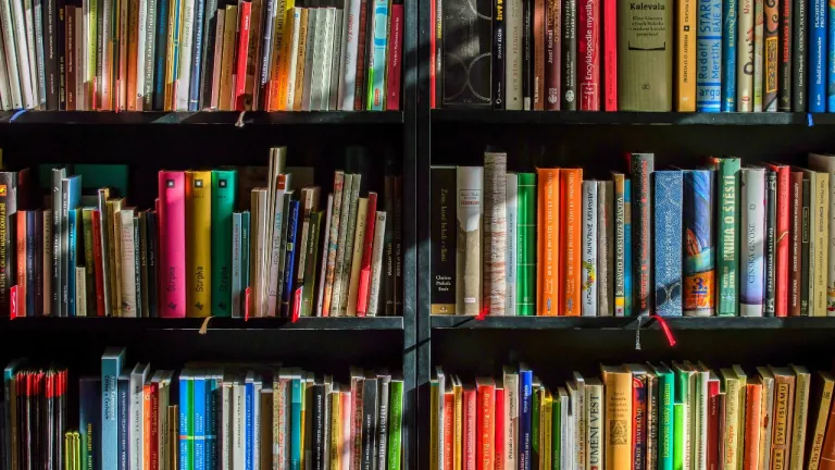 ¿Hay más Ferias del Libro en Colombia en este 2024? Descúbrelo aquí