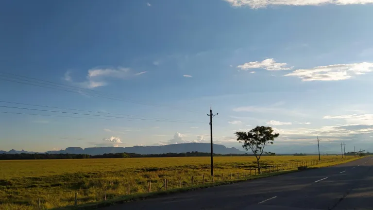 Nuevo emprendimiento de firmantes de paz en el Meta