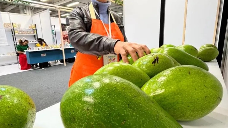 No te pierdas la Feria de Agricultura Campesina: ‘Mejor colombiano’