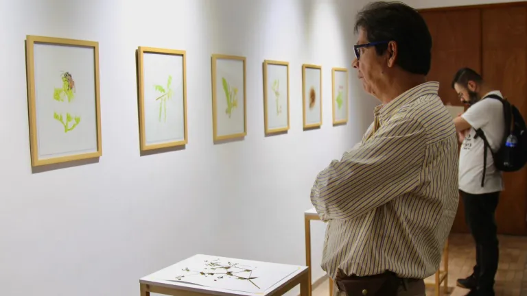 Manizales: Se acerca la Semana de los Museos