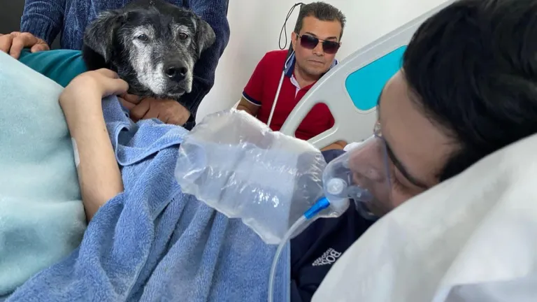 ¿Cómo sobrellevar la despedida para siempre entre un dueño y su mascota?