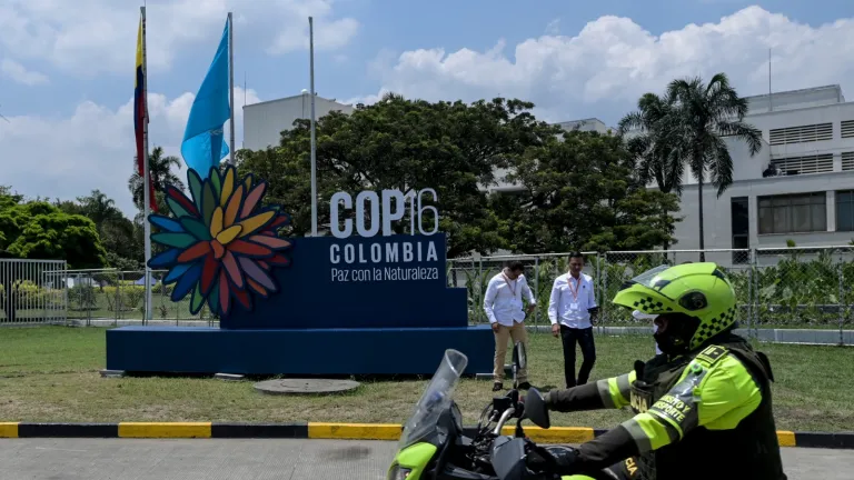 Pico y placa Cali en COP16: 21 al 25 de octubre