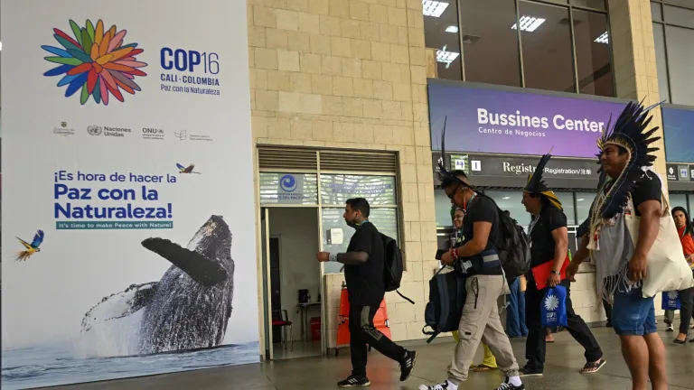 Cop16: Zona Azul y Verde escenarios clave