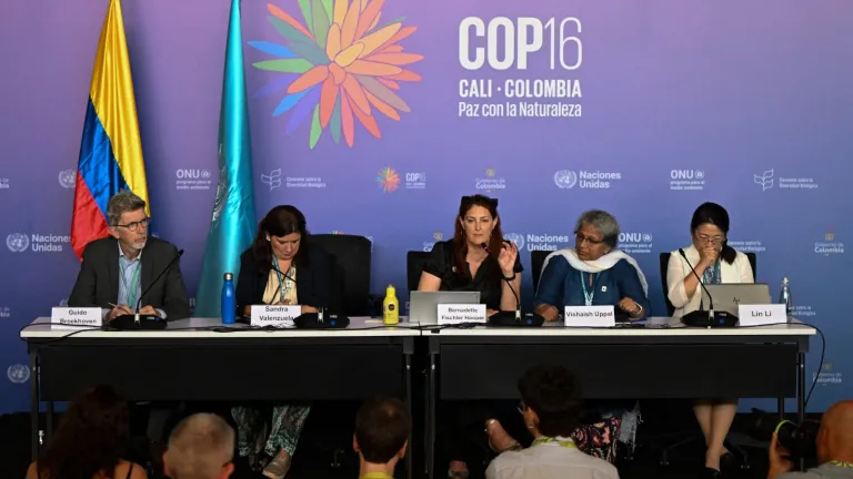 COP16, martes 22 de octubre. Horarios, eventos y dónde ver en vivo