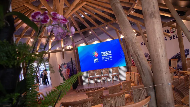 Programación COP16 HOY jueves 31 de octubre: Horarios, eventos y ver en vivo