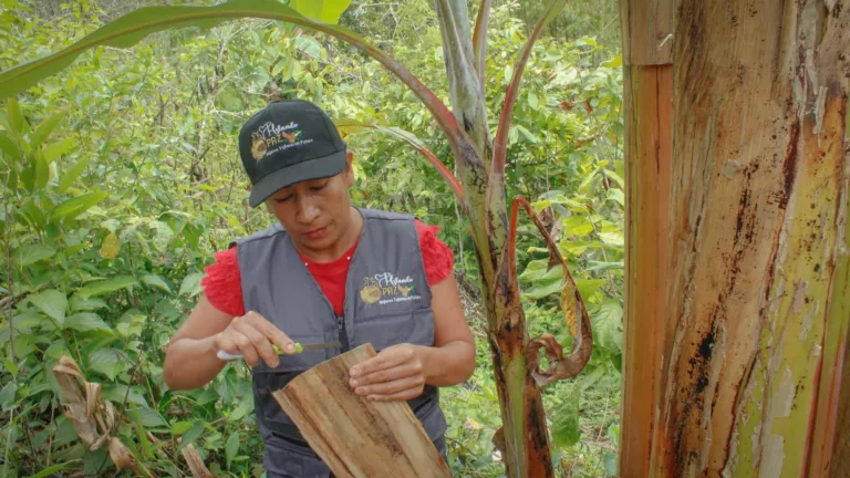Valle del Cauca: mejor calidad de vida de agricultores