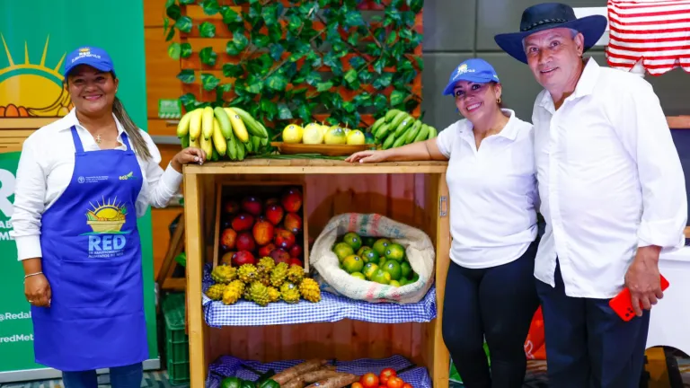 Red de Abastecimiento de Alimentos en el Meta: Ecopetrol y FAO impulsan agroindustria y prácticas sostenibles