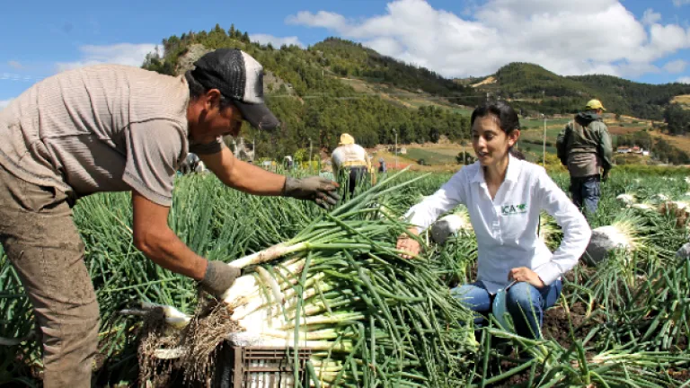 Senado aprueba en segundo debate proyecto de ley que reglamenta la Jurisdicción Especial Agraria