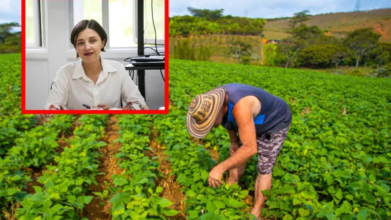 Avances del Ministerio de Agricultura en noviembre 2025