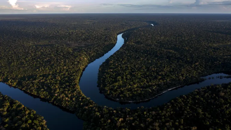 Estudio revela que la Amazonía podía llegar al punto de no retorno en el 2050