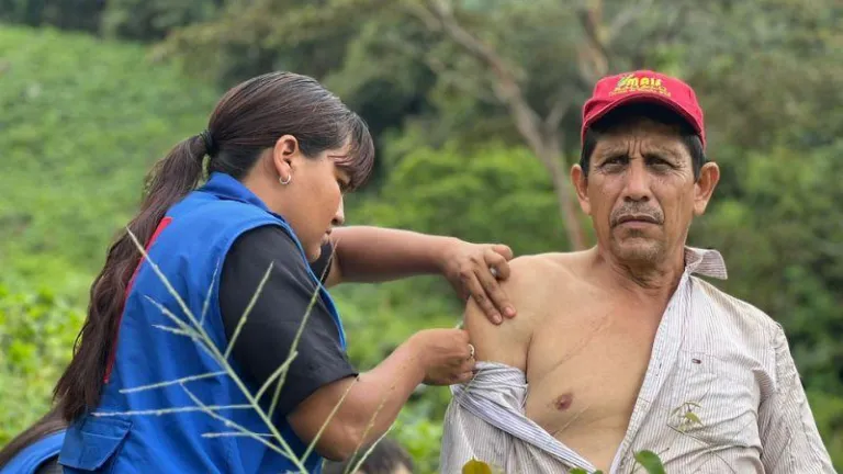 Fiebre amarilla: avances en vacunación 