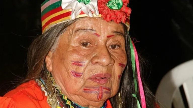 Día Internacional de la Lengua Materna y Día Nacional de Lenguas Nativas