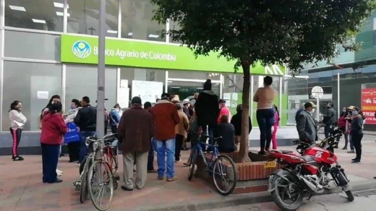 Pago de Tránsito a Renta Ciudadana